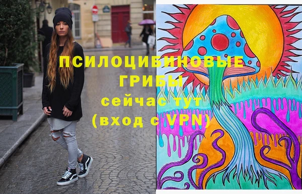 ECSTASY Алексин