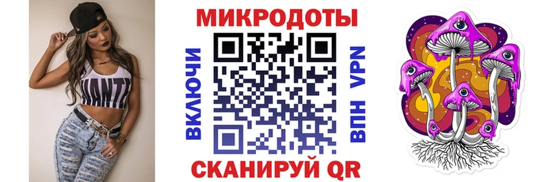 Галлюциногенные грибы Psilocybe  Фатеж 